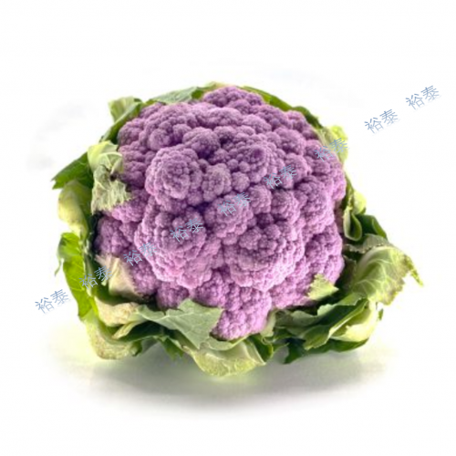 進口紫色椰菜花